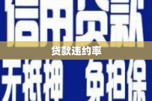 宁县贷款违约率