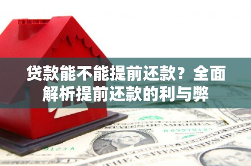 宁县贷款能不能提前还款？全面解析提前还款的利与弊
