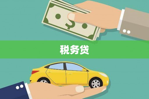 宁县税务贷