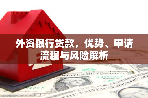宁县外资银行贷款，优势、申请流程与风险解析