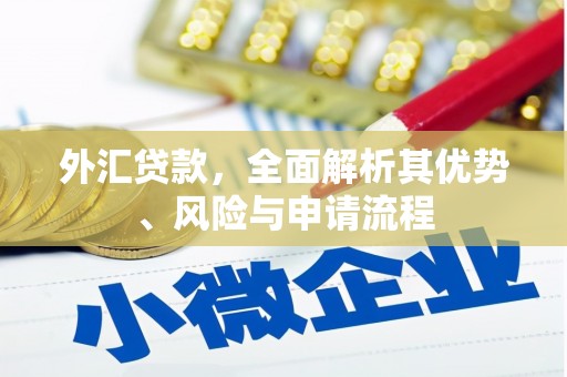 宁县外汇贷款，全面解析其优势、风险与申请流程