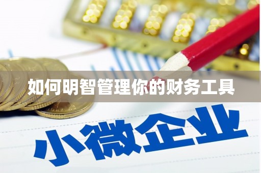 宁县如何明智管理你的财务工具