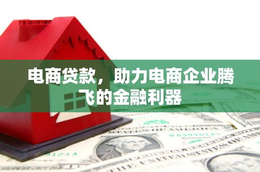 宁县电商贷款，助力电商企业腾飞的金融利器