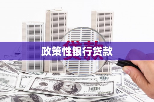 宁县政策性银行贷款