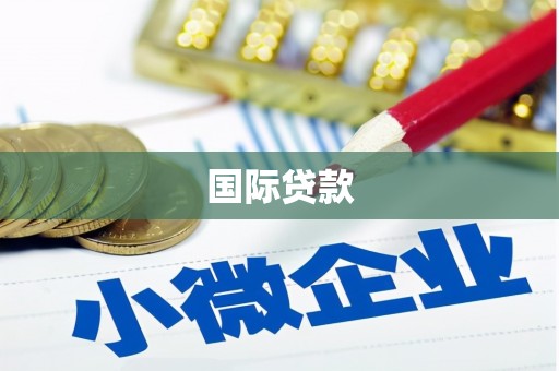 宁县国际贷款