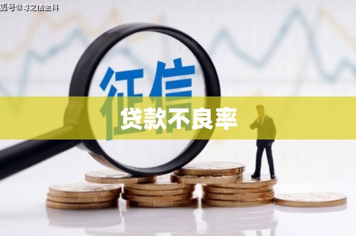 宁县贷款不良率