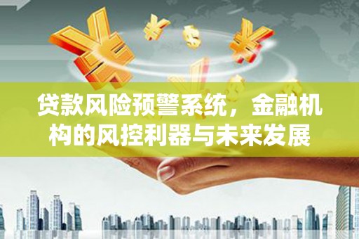 宁县贷款风险预警系统，金融机构的风控利器与未来发展