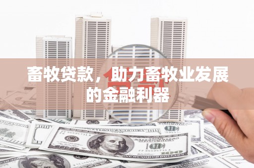 宁县畜牧贷款，助力畜牧业发展的金融利器