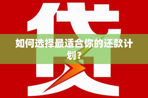 宁县如何选择最适合你的还款计划？