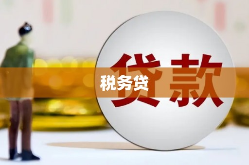 宁县税务贷