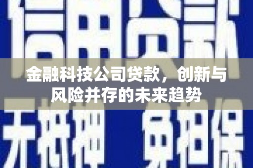 宁县金融科技公司贷款，创新与风险并存的未来趋势