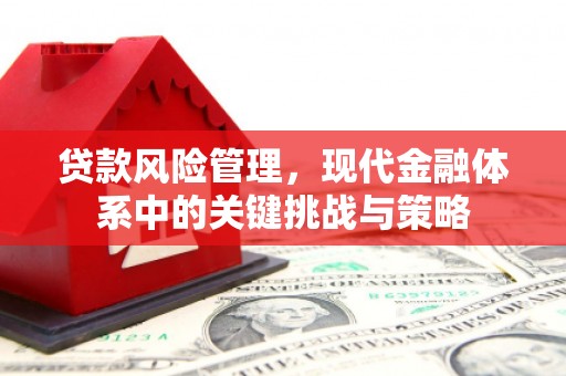 宁县贷款风险管理，现代金融体系中的关键挑战与策略