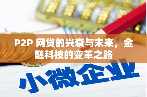 宁县P2P 网贷的兴衰与未来，金融科技的变革之路