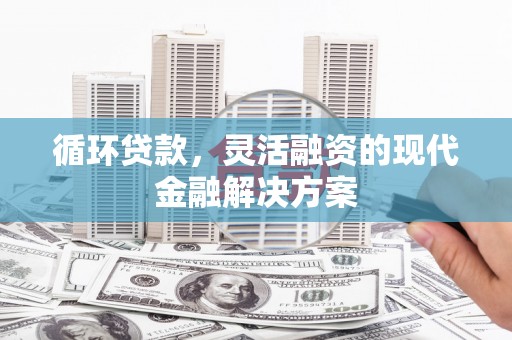 宁县循环贷款，灵活融资的现代金融解决方案
