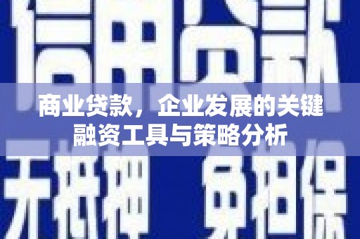 宁县商业贷款，企业发展的关键融资工具与策略分析