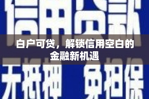 宁县白户可贷，解锁信用空白的金融新机遇