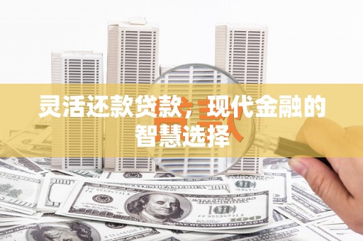 宁县灵活还款贷款，现代金融的智慧选择