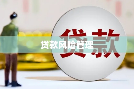 宁县贷款风险管理