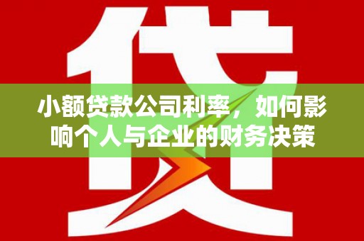 宁县小额贷款公司利率，如何影响个人与企业的财务决策