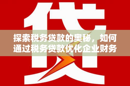 宁县探索税务贷款的奥秘，如何通过税务贷款优化企业财务