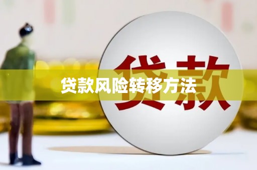 宁县贷款风险转移方法