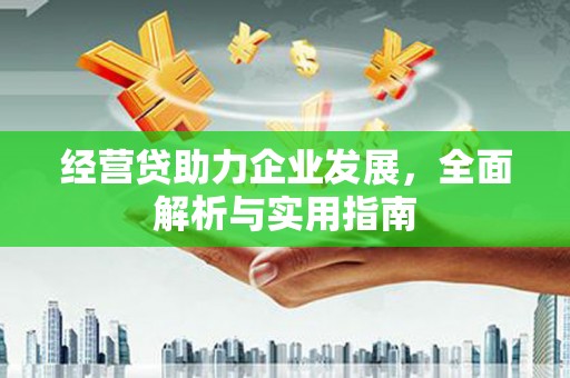 宁县经营贷助力企业发展，全面解析与实用指南