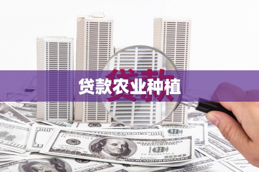 宁县贷款农业种植