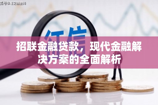 宁县招联金融贷款，现代金融解决方案的全面解析