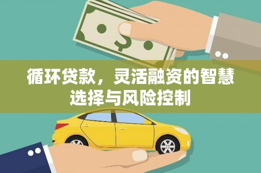 宁县循环贷款，灵活融资的智慧选择与风险控制