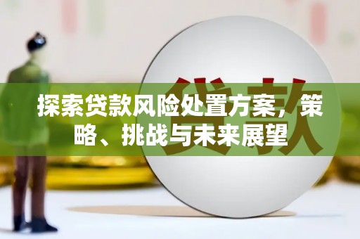 宁县探索贷款风险处置方案，策略、挑战与未来展望
