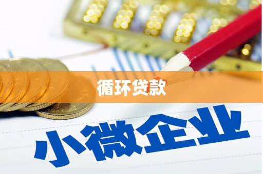 宁县循环贷款