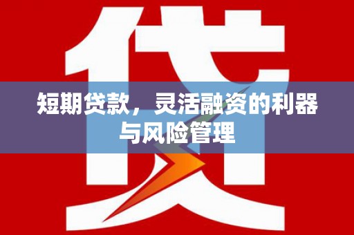 宁县短期贷款，灵活融资的利器与风险管理