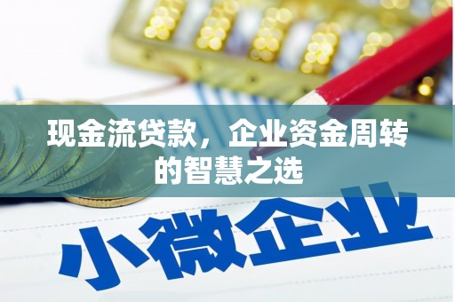 宁县现金流贷款，企业资金周转的智慧之选