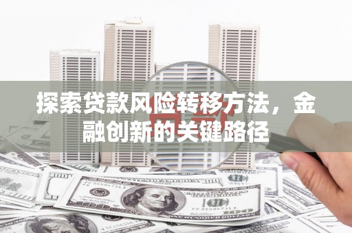 宁县探索贷款风险转移方法，金融创新的关键路径