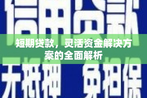 宁县短期贷款，灵活资金解决方案的全面解析