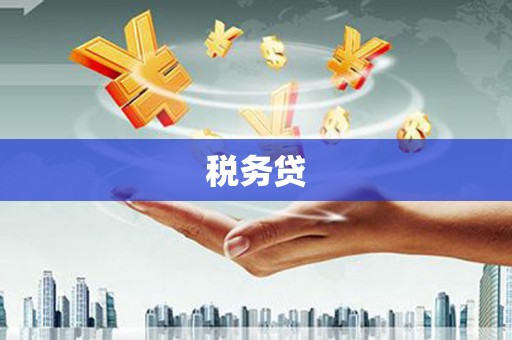 宁县税务贷