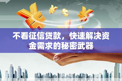 宁县不看征信贷款，快速解决资金需求的秘密武器