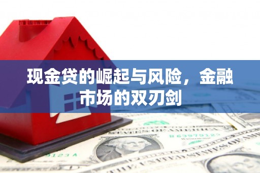 宁县现金贷的崛起与风险，金融市场的双刃剑