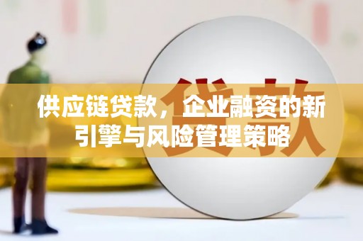 宁县供应链贷款，企业融资的新引擎与风险管理策略