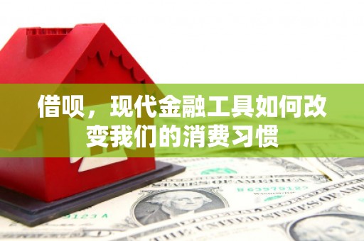 宁县借呗，现代金融工具如何改变我们的消费习惯