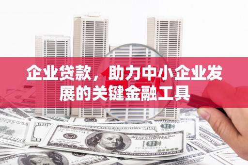 宁县企业贷款，助力中小企业发展的关键金融工具