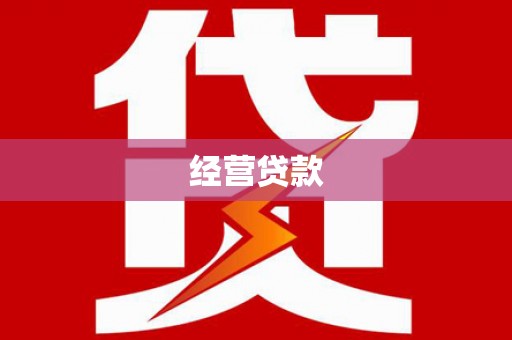 宁县经营贷款