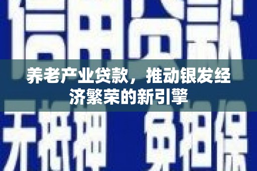 宁县养老产业贷款，推动银发经济繁荣的新引擎