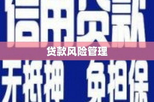 宁县贷款风险管理