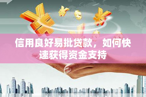 宁县信用良好易批贷款，如何快速获得资金支持