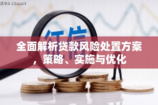 宁县全面解析贷款风险处置方案，策略、实施与优化