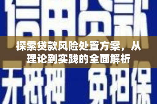 宁县探索贷款风险处置方案，从理论到实践的全面解析