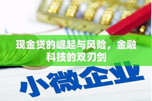 宁县现金贷的崛起与风险，金融科技的双刃剑