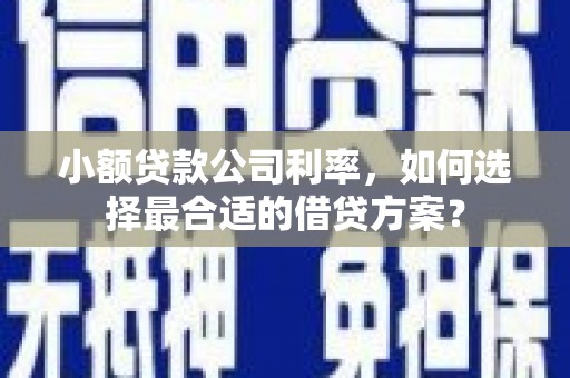 宁县小额贷款公司利率，如何选择最合适的借贷方案？
