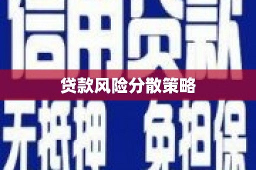 宁县贷款风险分散策略